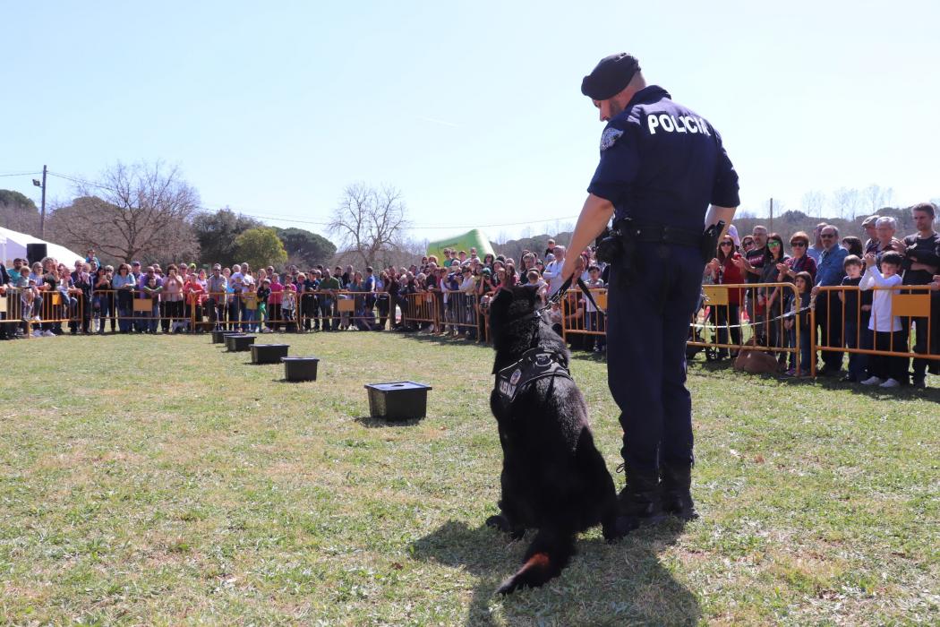Fira de la Terra de Caldes de Malavella
