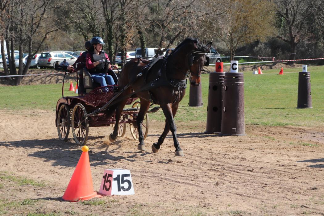 Fira de la Terra de Caldes de Malavella