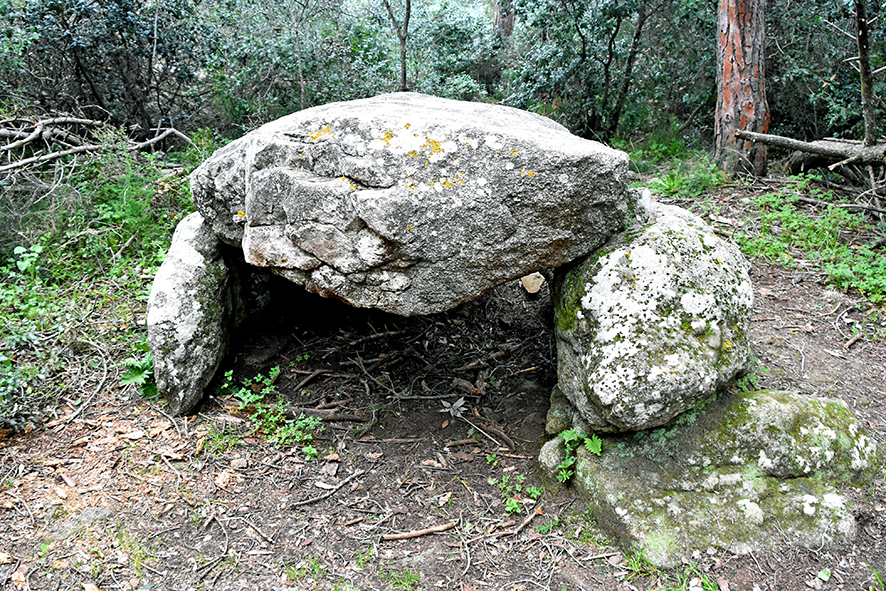 Dolmen de can Mina dels Torrents a Palafrugell ***