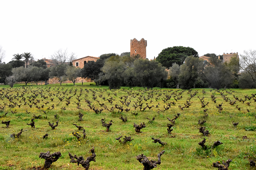 Santa Margarida a Palafrugell