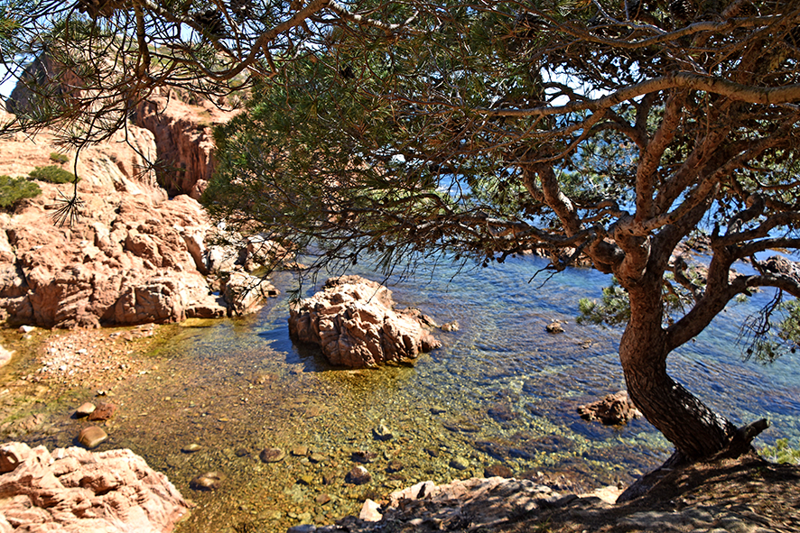 Aigua Xelida de Tamariu a Palafrugell ***