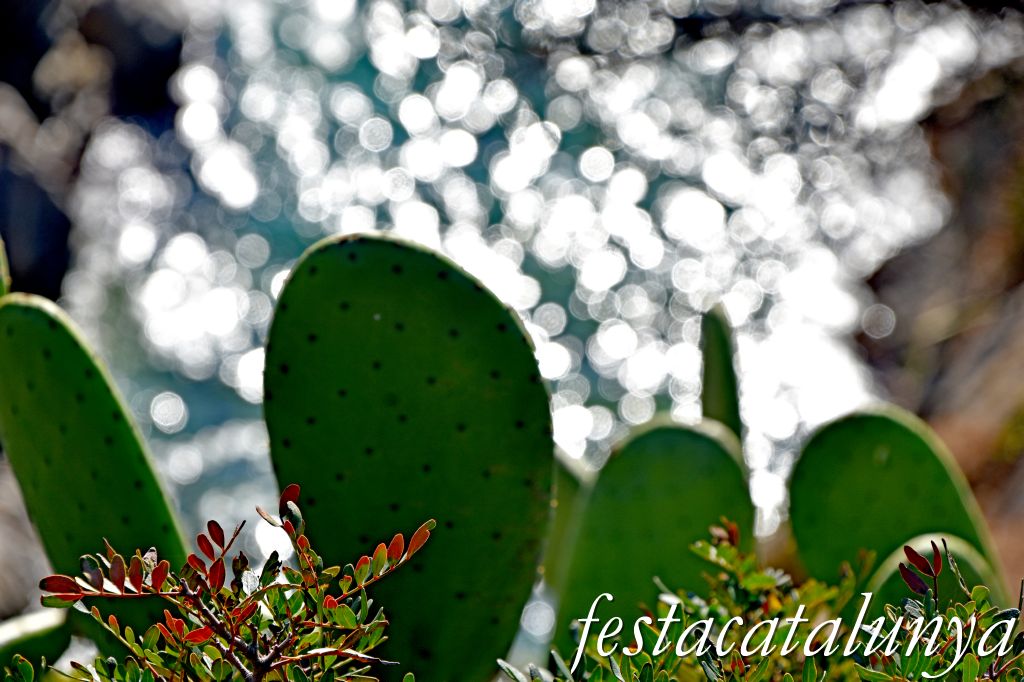 Palamós - Castell de Sant Esteve