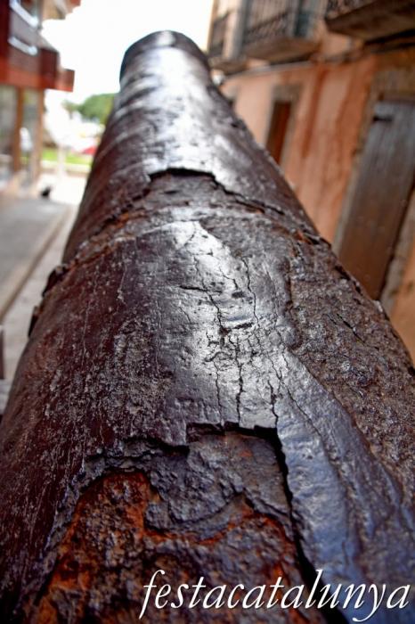 Palamós - Canó de Palamós