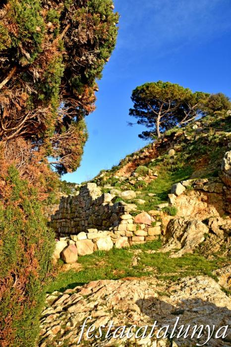 Palamós - Poblat ibèric de Castell 