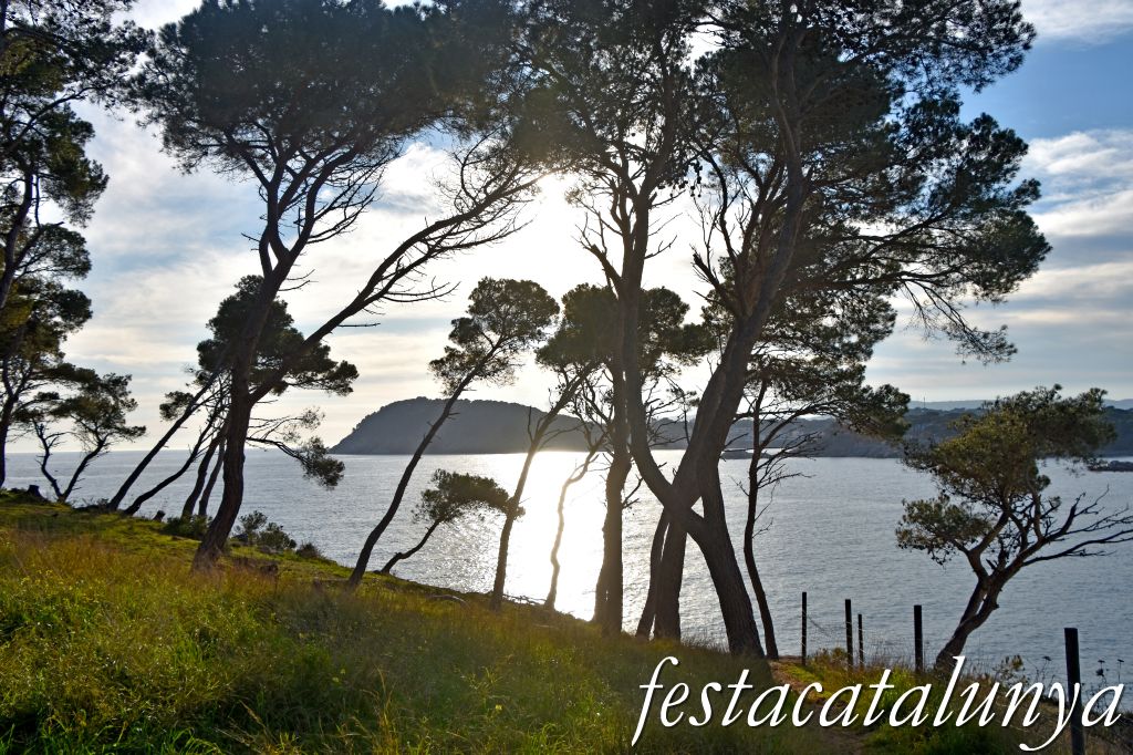 Palamós - Vista panoràmica des de sa Cobertera del Castell