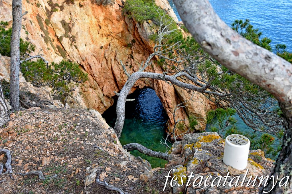 Palamós - Vista panoràmica des de sa Cobertera del Castell - Sa Foradada 