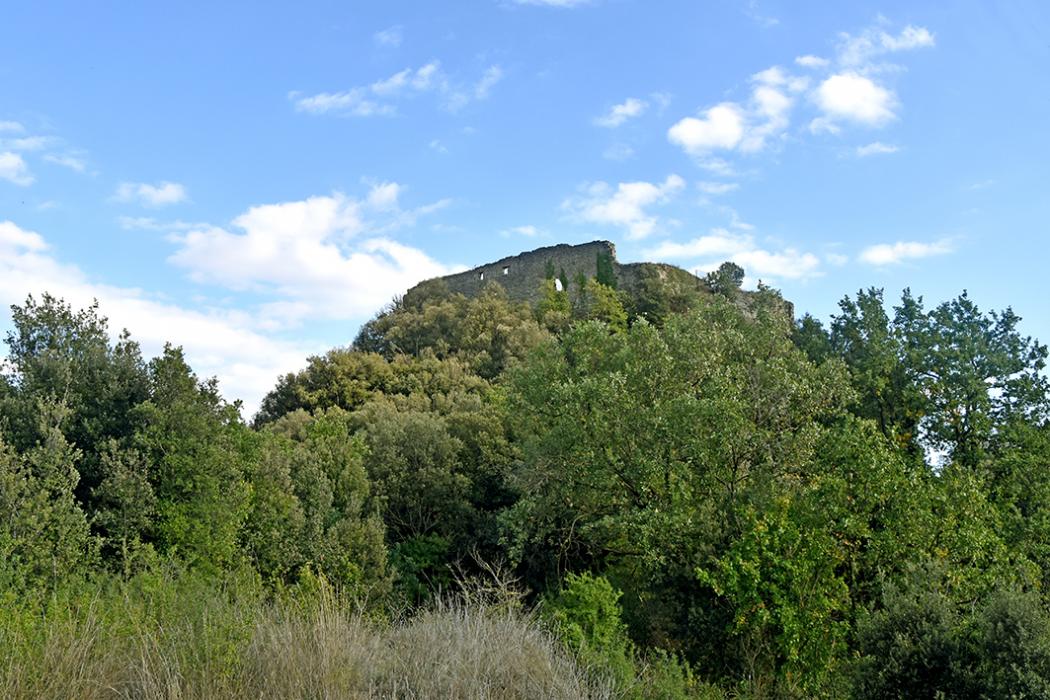 Castell d'Orís