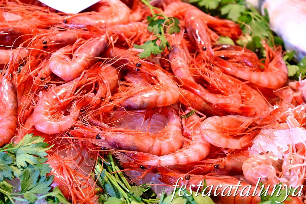 Palamós - Port de Palamós - Llotja