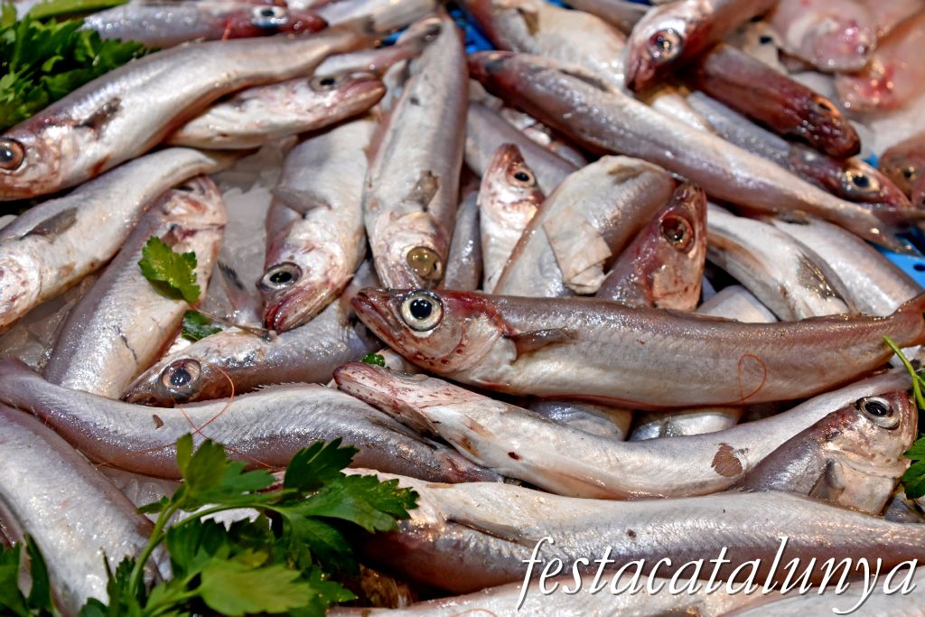 Palamós - Port de Palamós - Llotja 