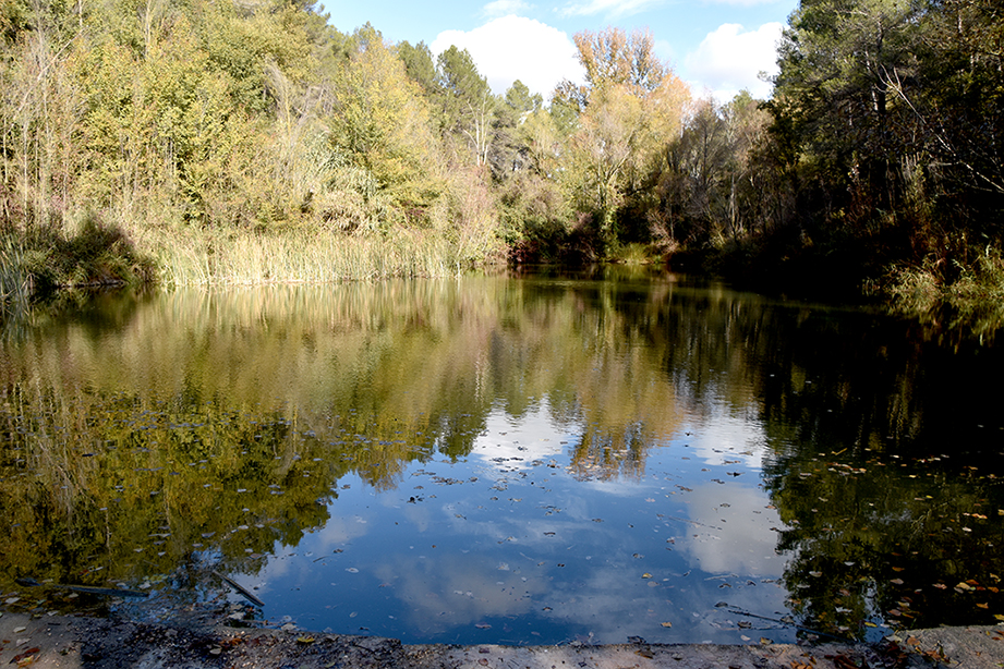 Resclosa de la riera de Rubió a Jorba