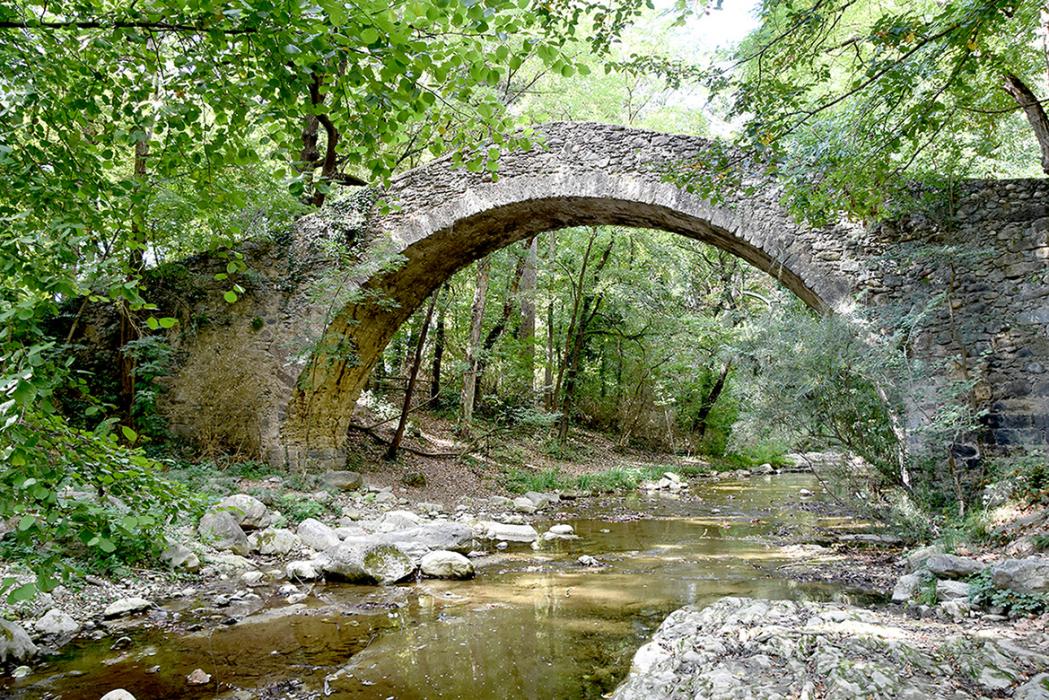 Pont de la riera i entorn a Sant Pere de Torelló ***