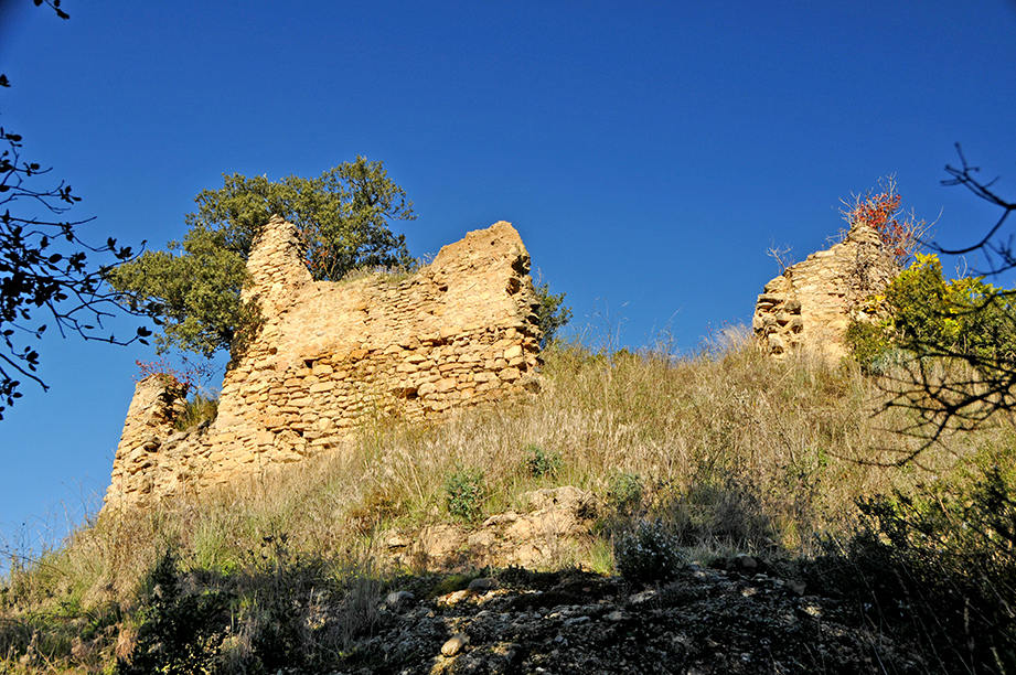 Castell d'Oliana