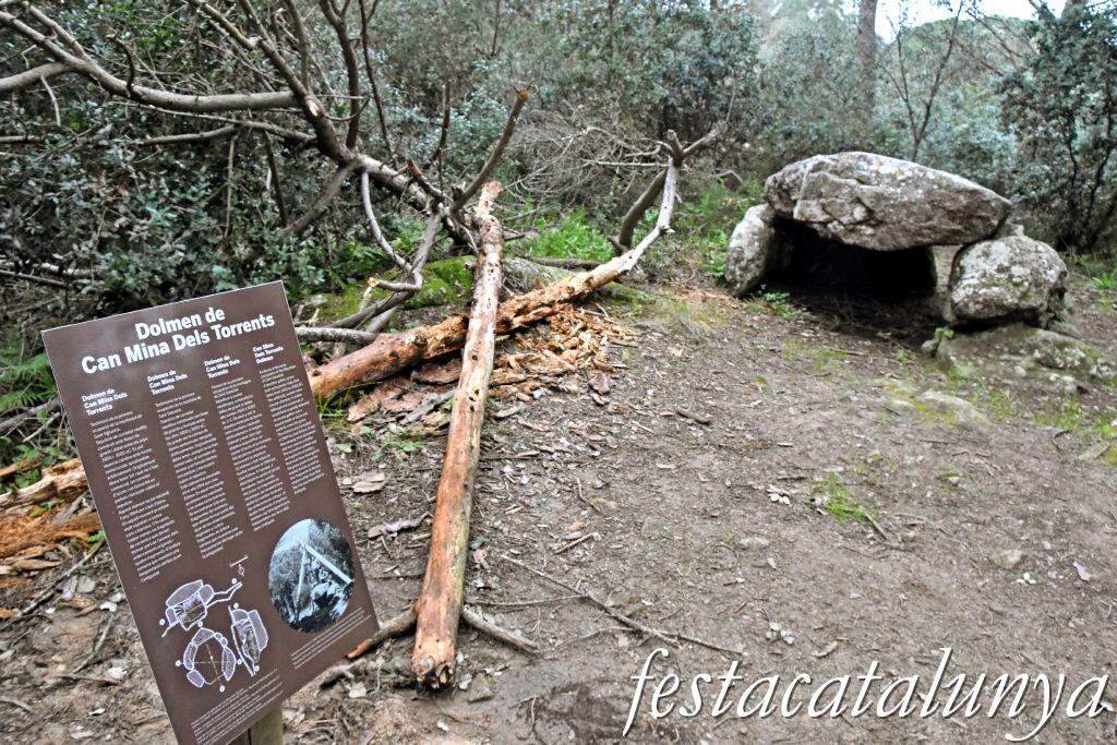 Palafrugell - Dolmen de can Mina dels Torrents