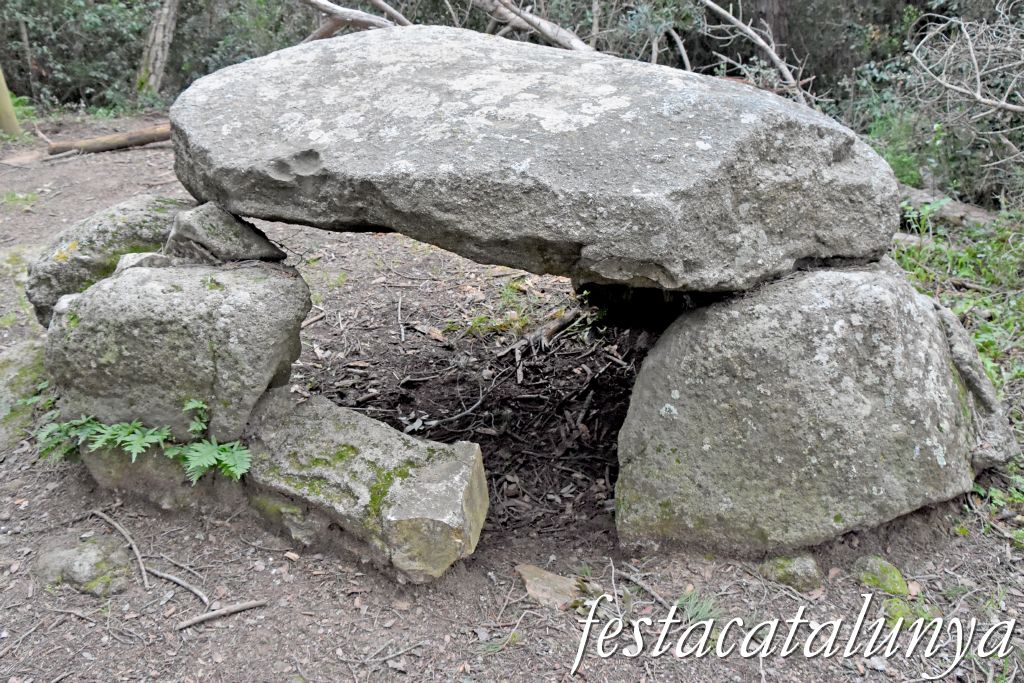 Palafrugell - Dolmen de can Mina dels Torrents