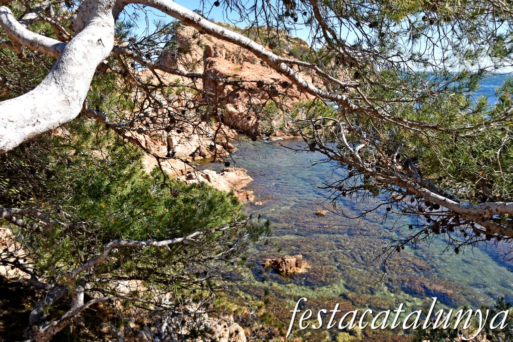 Palafrugell - Tamariu - Aigua Xelida