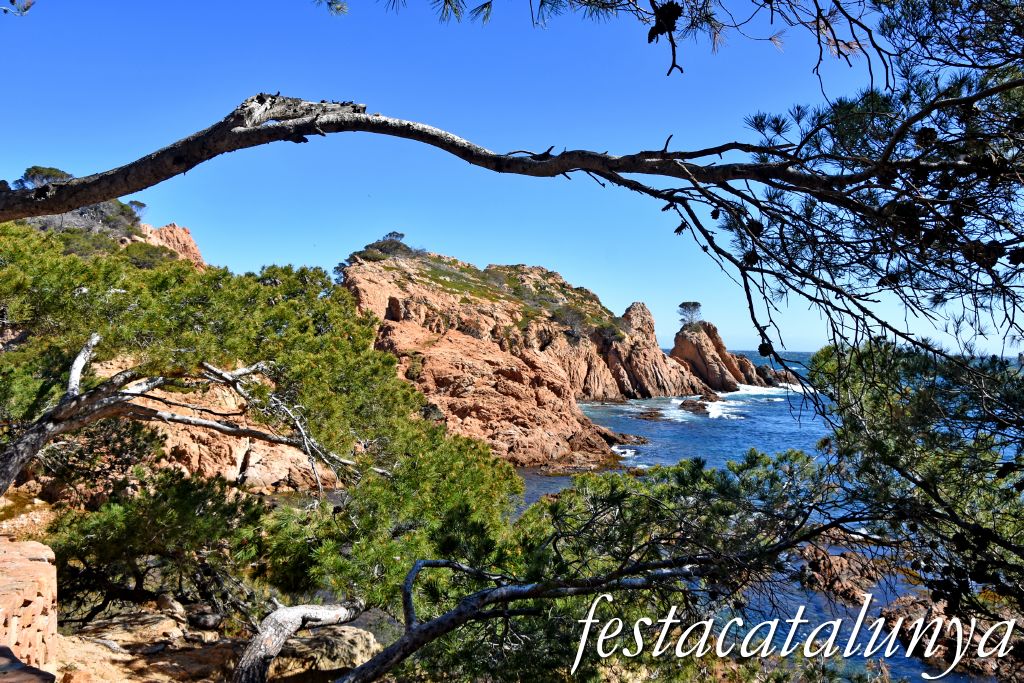 Palafrugell - Tamariu - Aigua Xelida