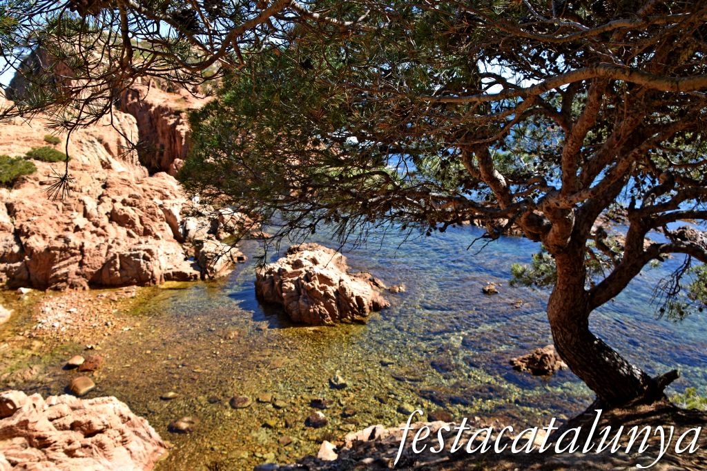 Palafrugell - Tamariu - Aigua Xelida