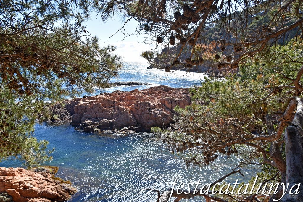 Palafrugell - Tamariu - Aigua Xelida