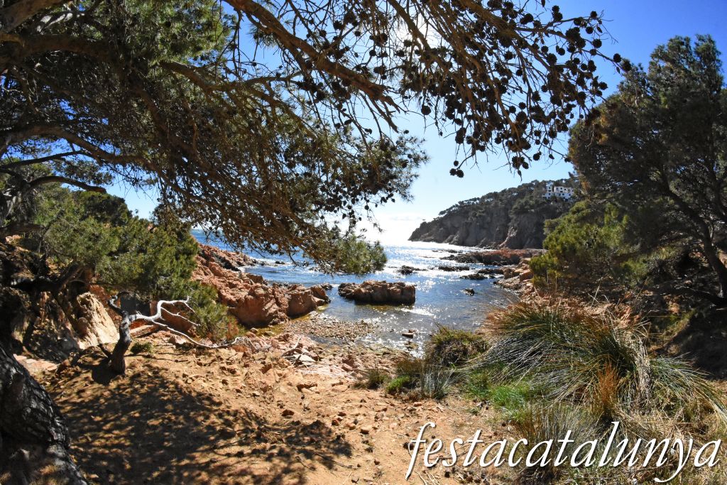 Palafrugell - Tamariu - Aigua Xelida