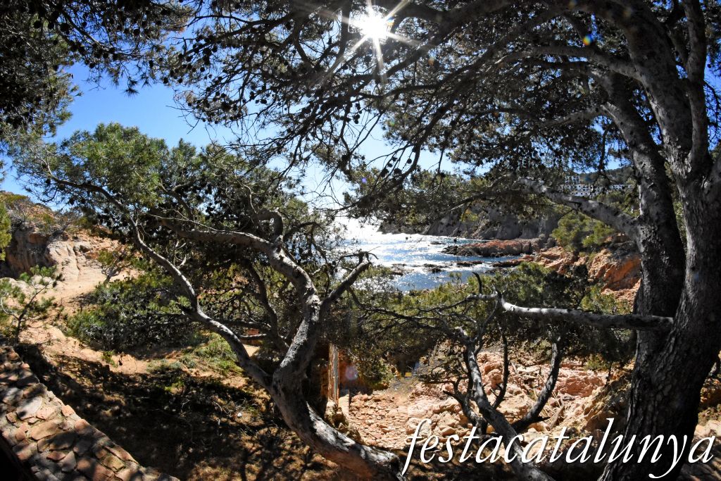 Palafrugell - Tamariu - Aigua Xelida