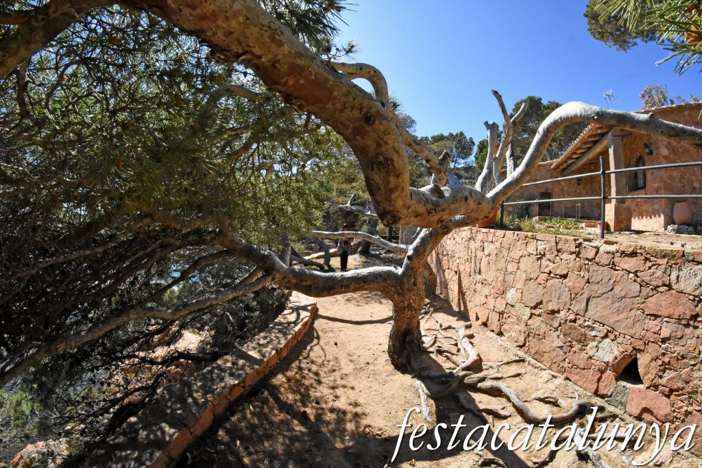 Palafrugell - Tamariu - Aigua Xelida