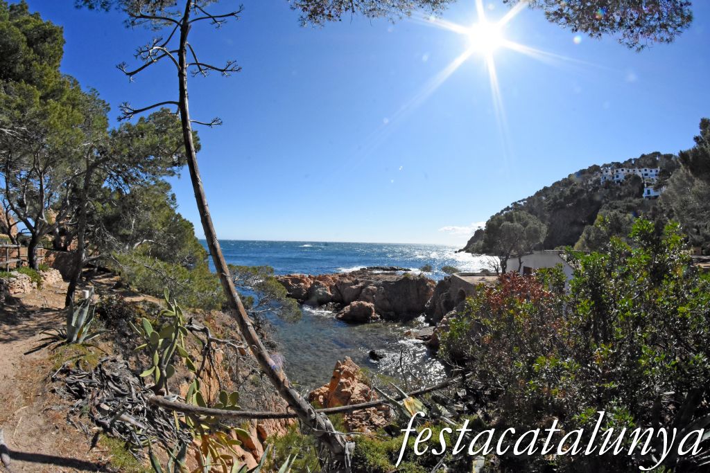 Palafrugell - Tamariu - Aigua Xelida