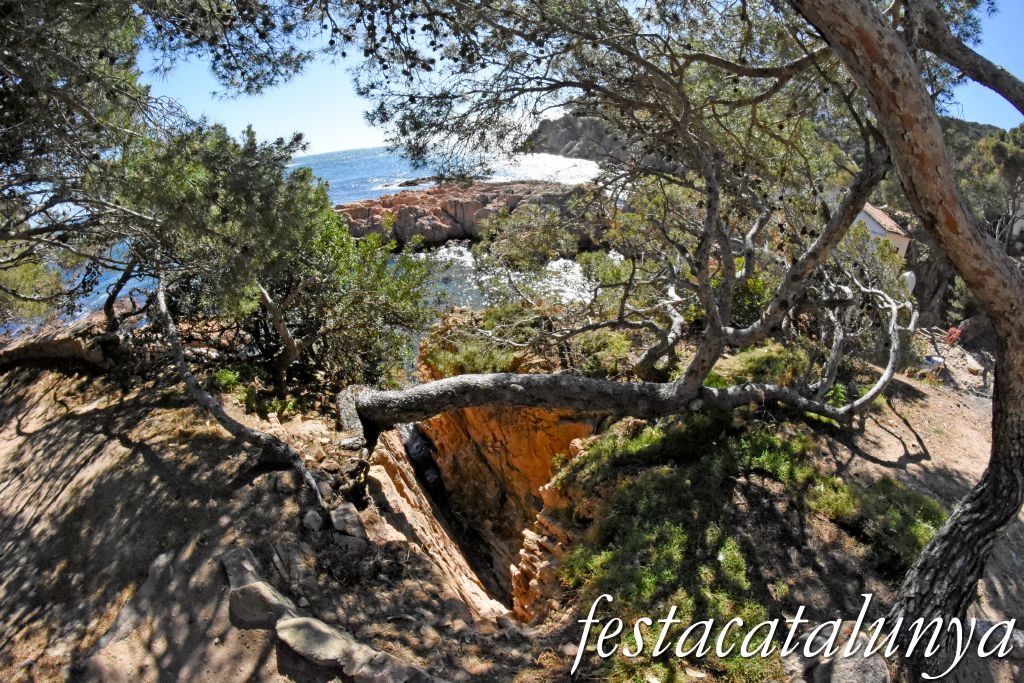 Palafrugell - Tamariu - Aigua Xelida