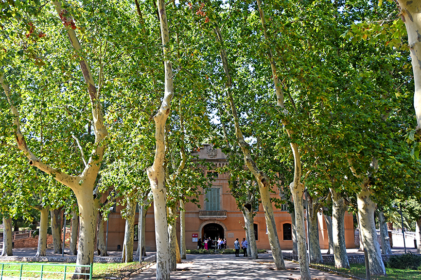 Parc de can Mercader