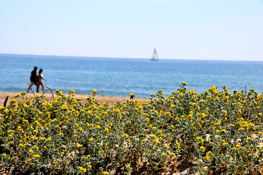 Platja de Creixell