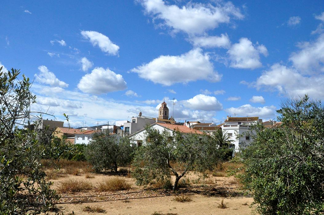Església parroquial de Sant Bartomeu de Freginals
