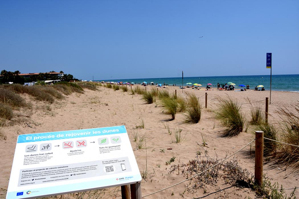 A l'entorn de les platges de Gavà