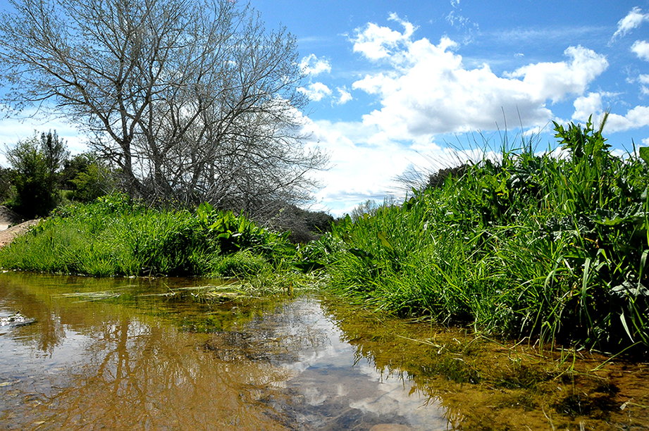 Les Basses de la Foia de Masdenverge