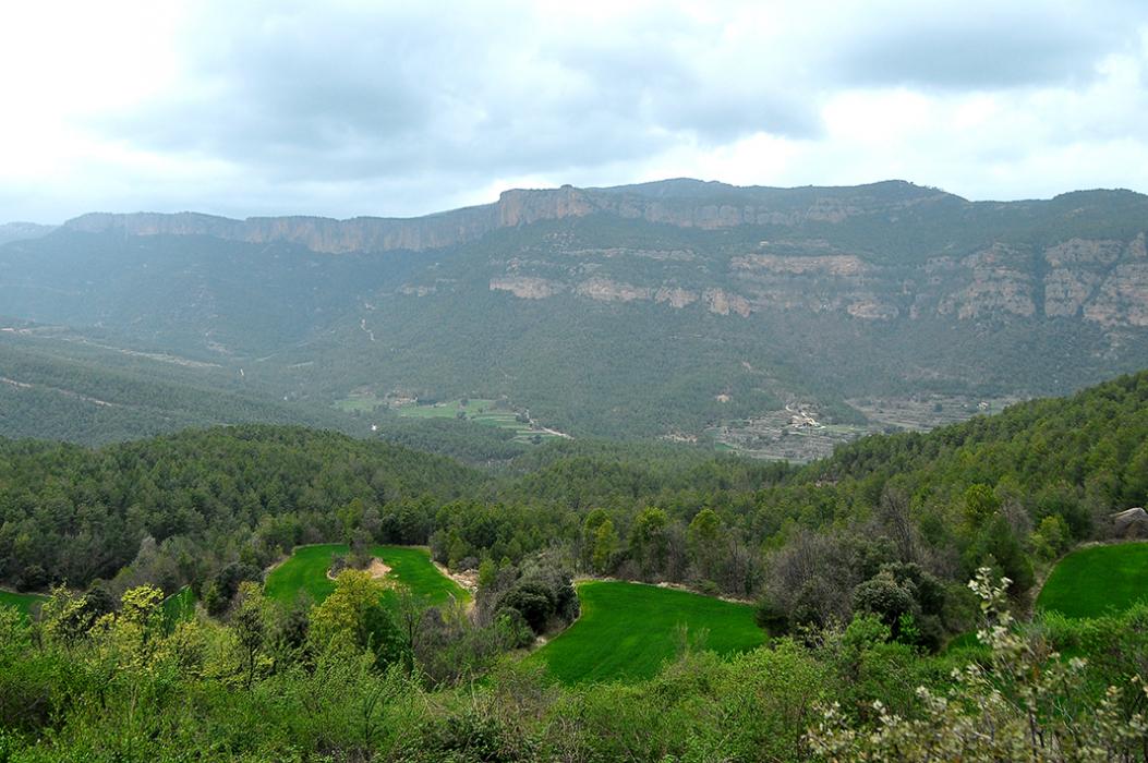 Vall d'Ora a Navès ***