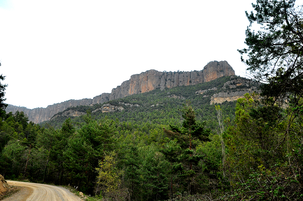 Serra i Pla de Busa a Navès ***