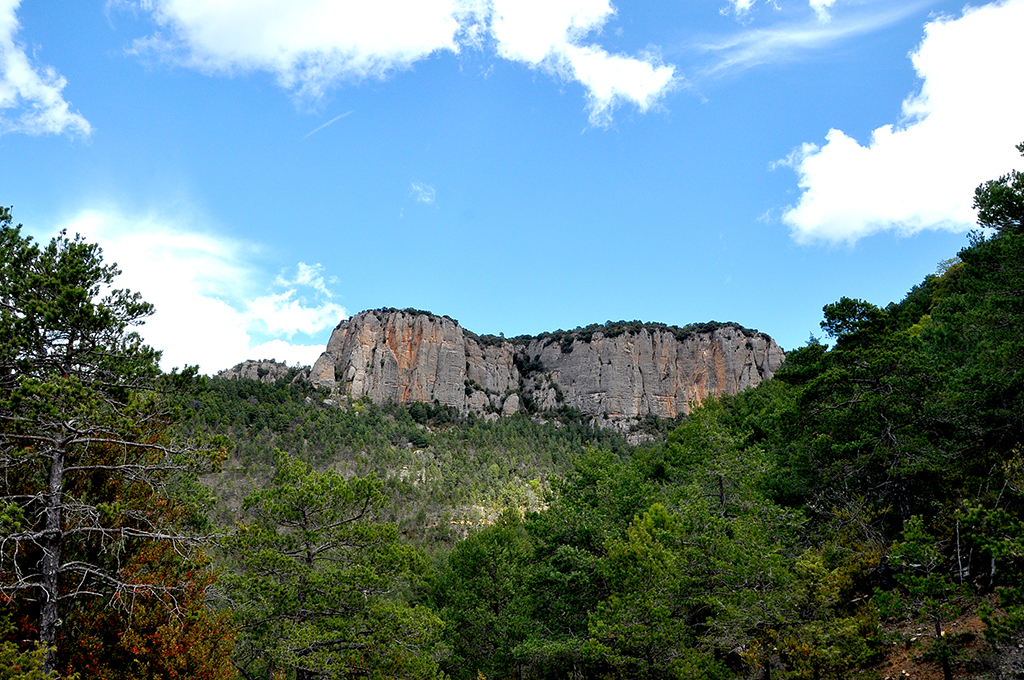 Serra de Busa a Navès ***