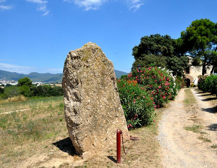 Menhir de can Tarragona a Palau-solità i Plegamans