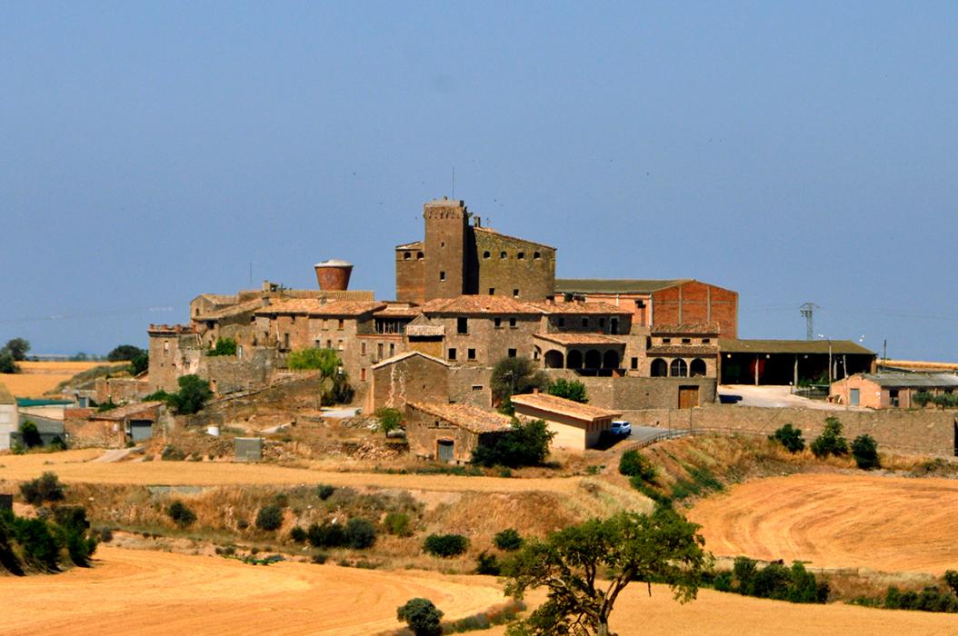 L'Aranyó als Plans de Sió ***