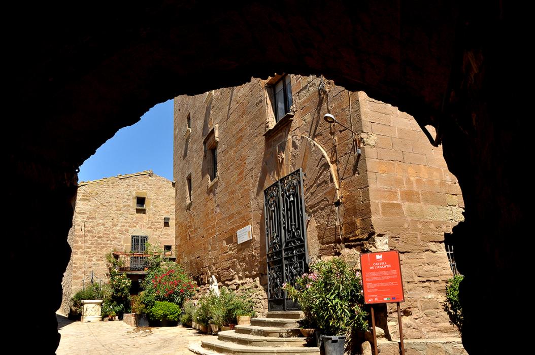 Castell de l'Aranyó ***