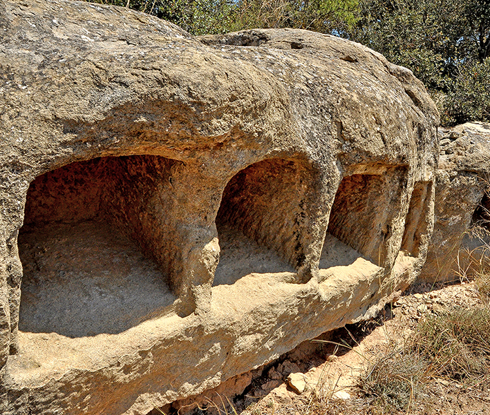 El Columbari de l'Aranyó ***