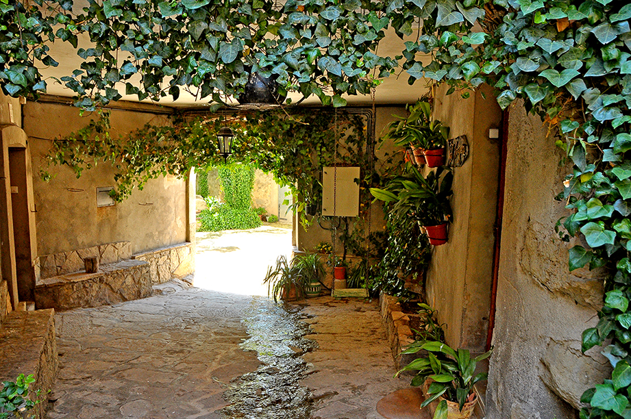 Ratera als Plans de Sió ***