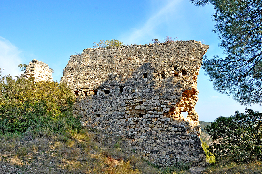 Castell de Montoliu a la Riera de Gaià ***