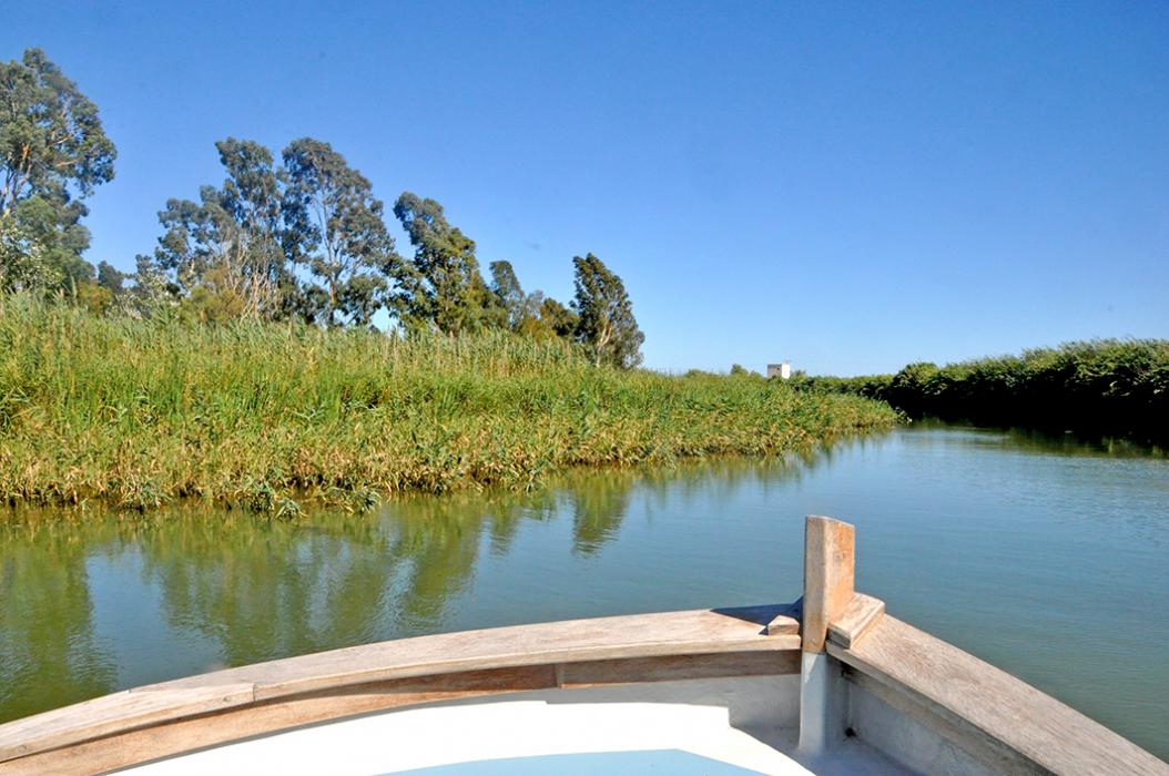 Itinerari riu Ebre-Illa de Buda-Gola de Migjorn a Sant Jaume d'Enveja ***