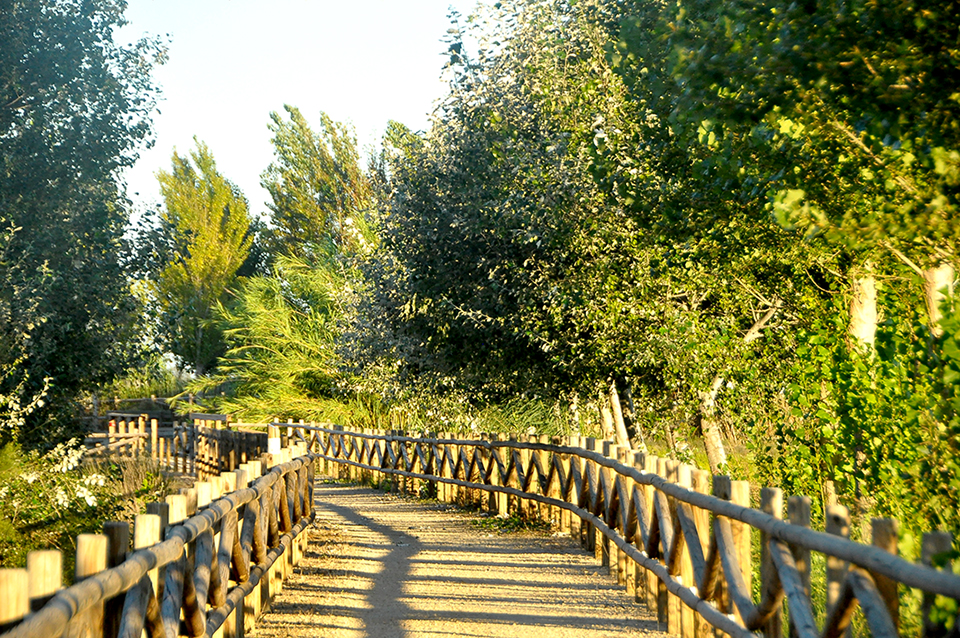 Balada a Sant Jaume d'Enveja