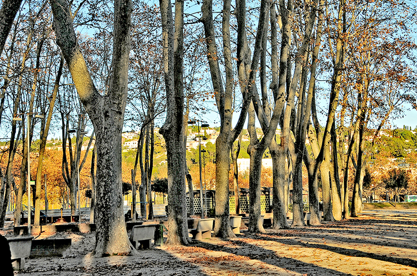 Parc de la Devesa ***