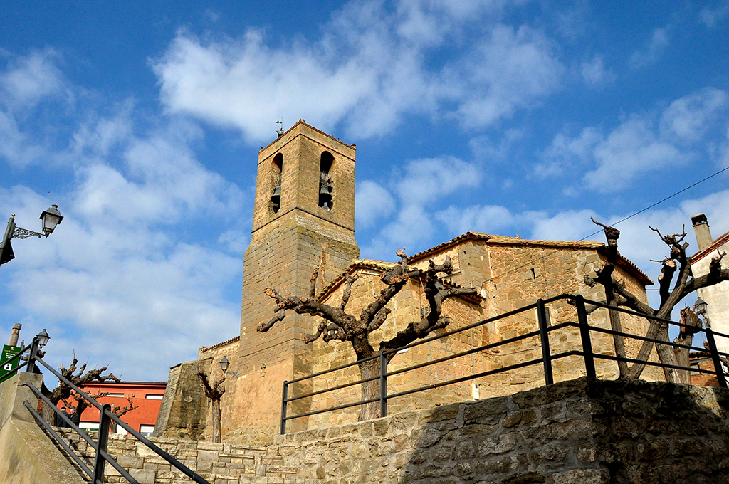 Sedó a Torrefeta i Florejacs
