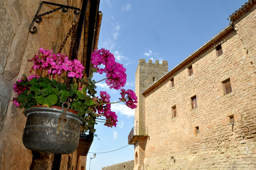 Florejacs a Torrefeta i Florejacs ***