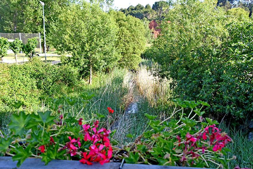 Passejada pel poble de Carme