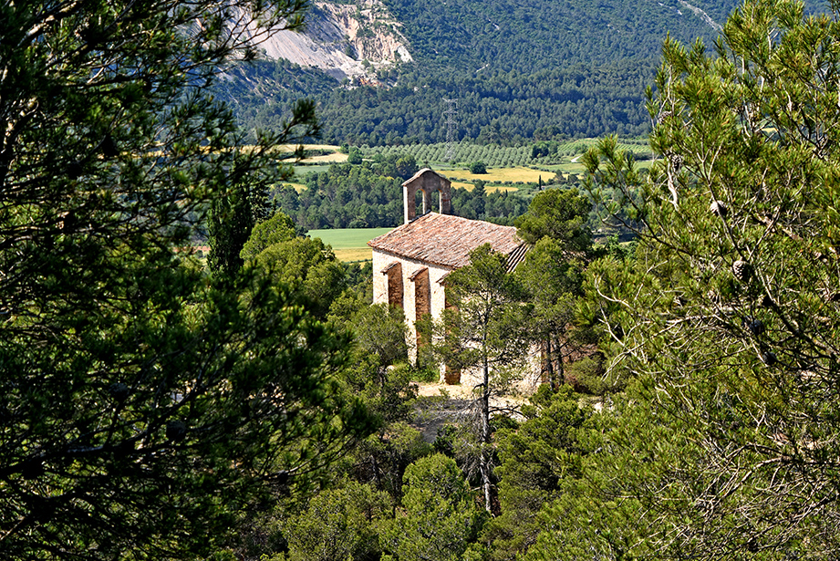 Vistes panoràmiques des del Santuari de Collbàs de Carme ***