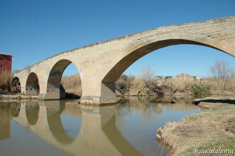 El Pont Vell de Navarcles