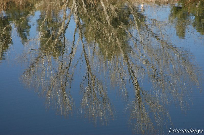 Parc del Llac de Navarcles